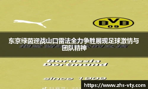 VSport登录入口